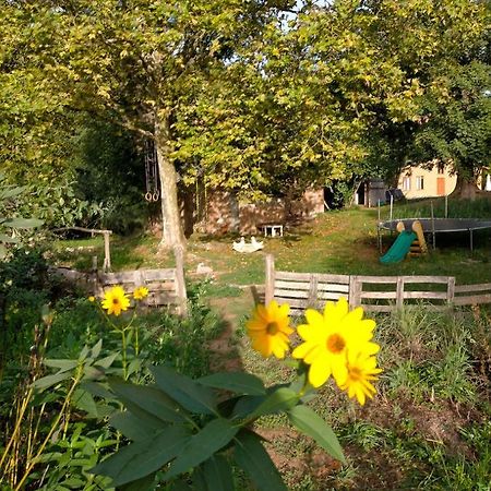 Albergue Del Oso Tierraluz Arbúcies Zewnętrze zdjęcie