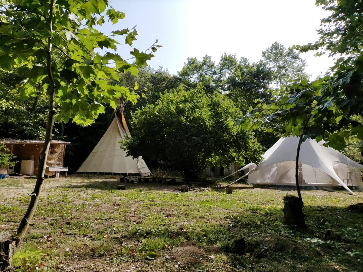 Albergue Del Oso Tierraluz Arbúcies Zewnętrze zdjęcie