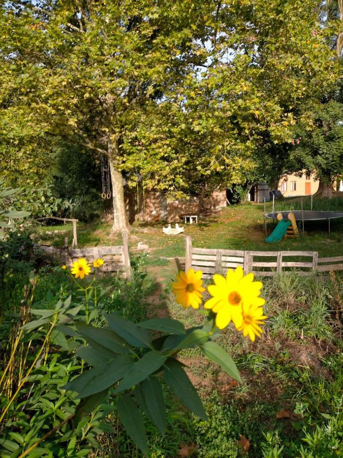 Albergue Del Oso Tierraluz Arbúcies Zewnętrze zdjęcie