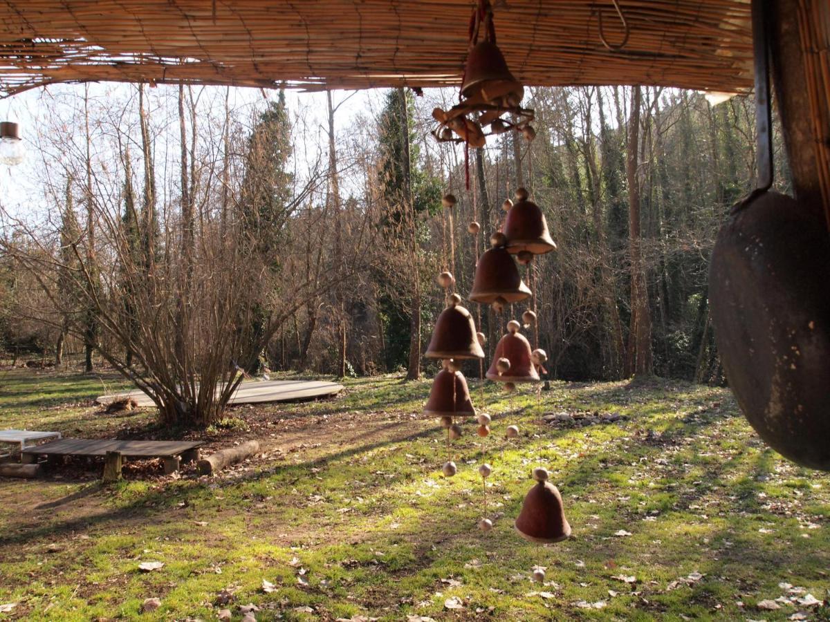 Albergue Del Oso Tierraluz Arbúcies Zewnętrze zdjęcie